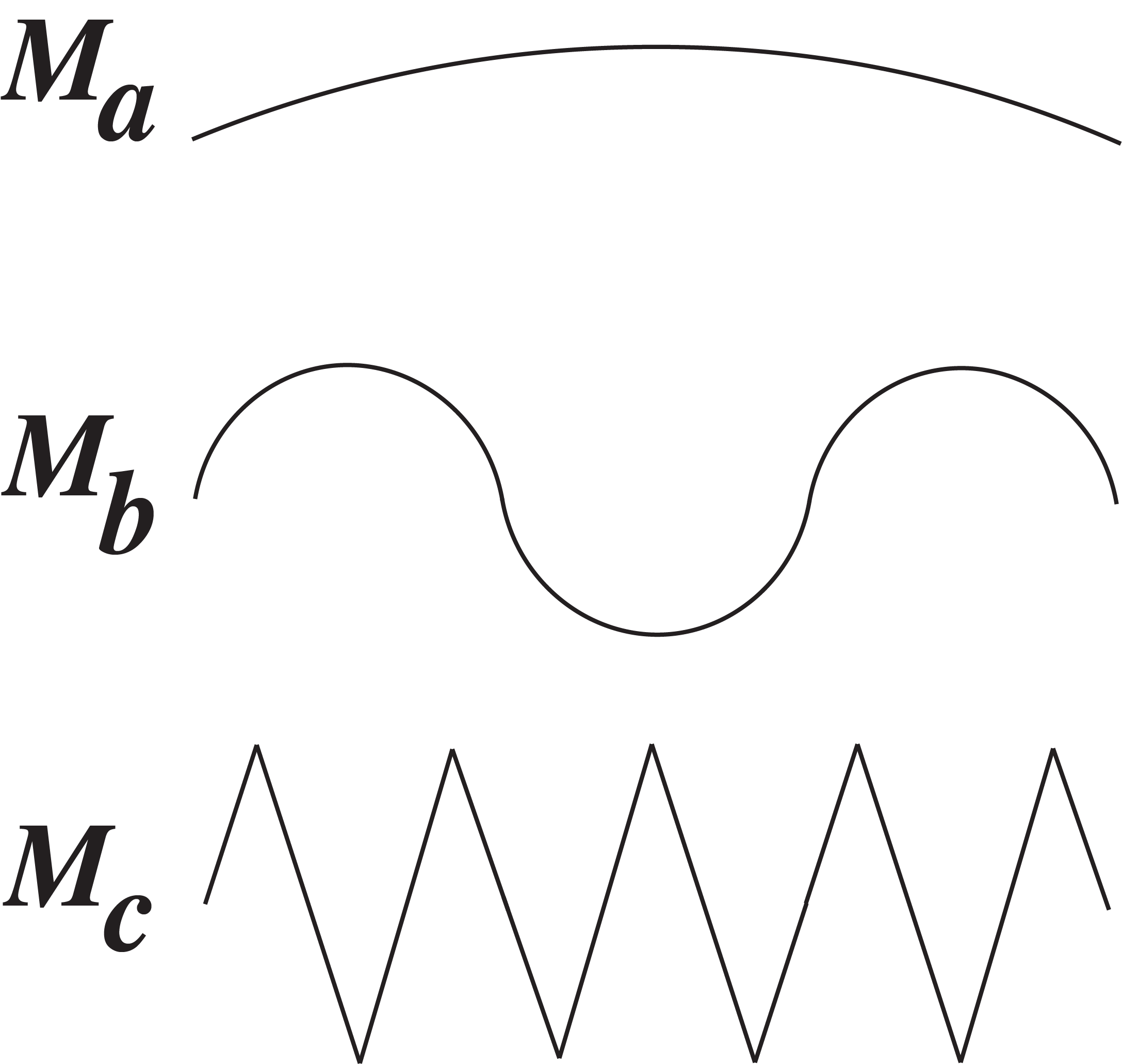 A collection of 1-dimensional manifolds for a 2D support space.